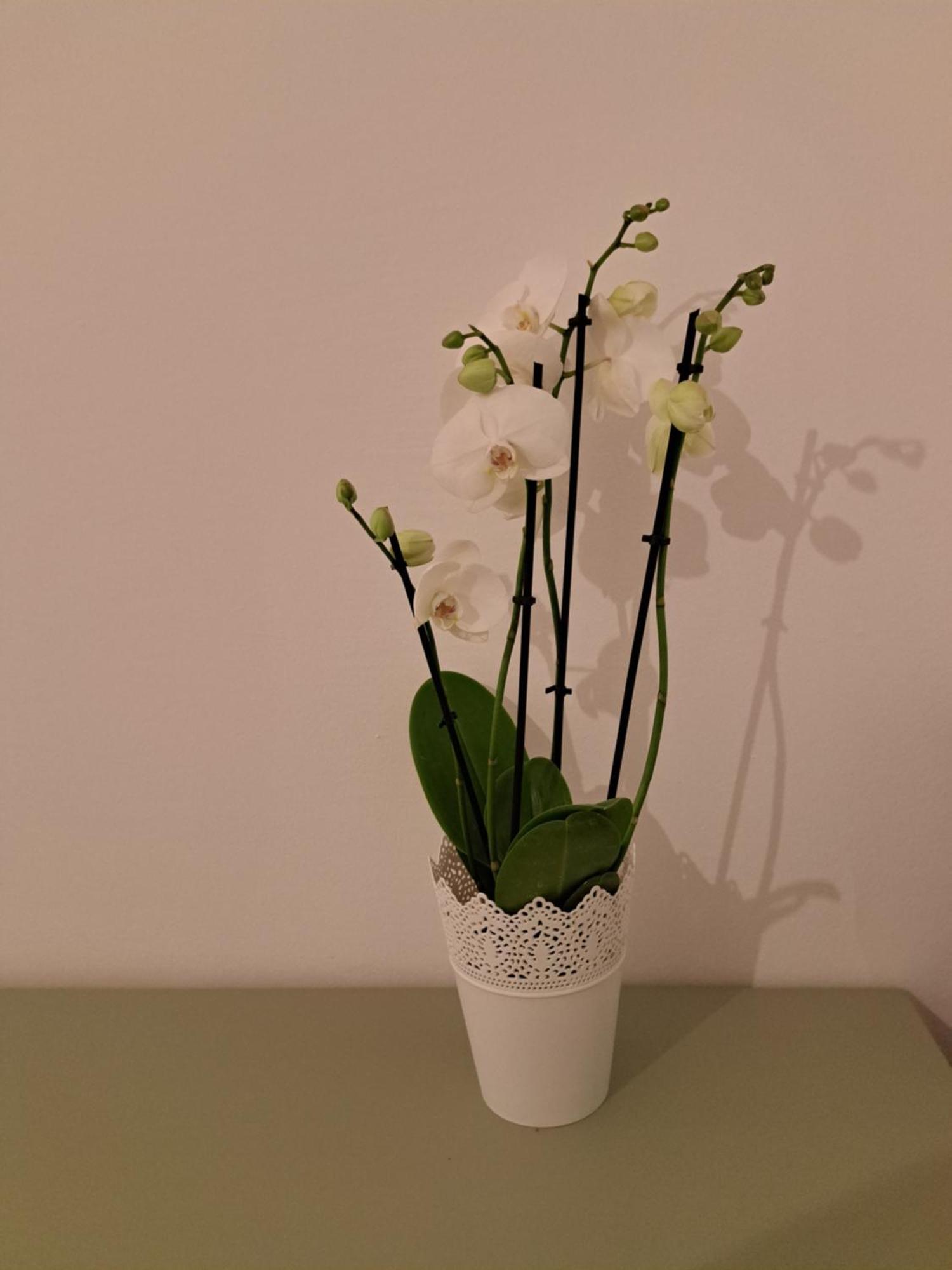 테살로니키 Casa Di Tre 아파트 외부 사진